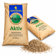 Kiepenkerl Majestic Aktiv 10 kg – nasiona trawy sportowej na 500 m²