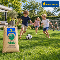 Kiepenkerl Majestic Aktiv – nasiona do trawników intensywnie użytkowanych